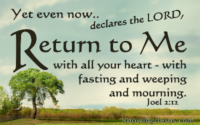 “God’s Chosen Fast”