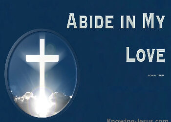 The (Other) Love Chapter