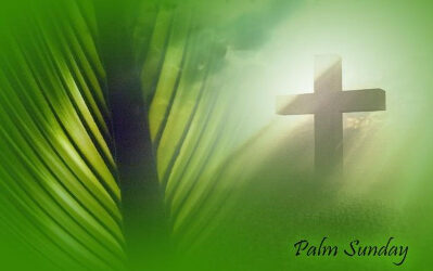 Palm Sunday: The Cross Among the Palms