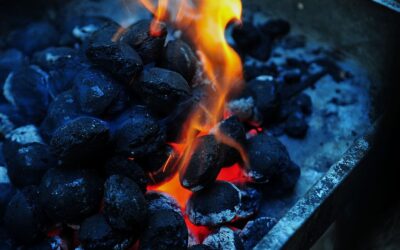 Will the Coal Die Out?