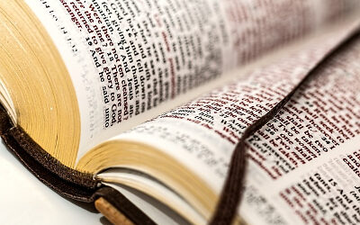 The Word as Part of Our Life