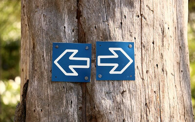 Do we really have to do the right thing?