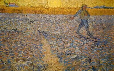 Tapping Into the Parenting Laws of Sowing & Reaping