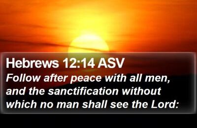 Hebrews-12-14-ASV-Follow-after-peace-with-all-men-and-the-I58012014-L01-TH