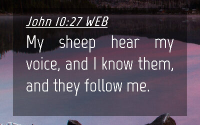 The Hedge of Protection