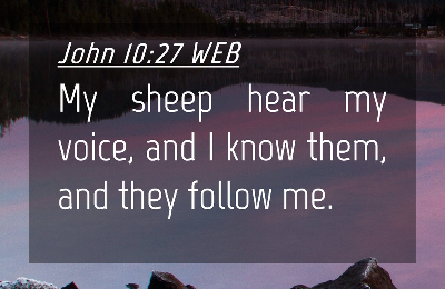 John-10-27-WEB-mobile-wallpaper-bible-verse-I43010027-L04