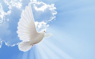 How are we to truly seek God from the heart?