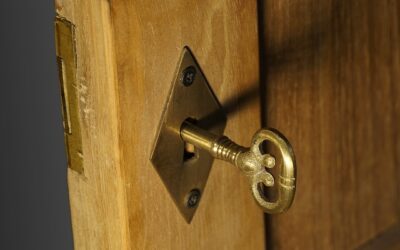 THE JOY OF THE LORD.