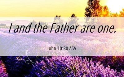 Did Jesus Actually Claim to Be God?