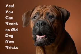 How Can Older Workers Learn New Tricks?