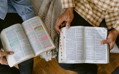 How To Do A Bible Study With Your Grandchildren