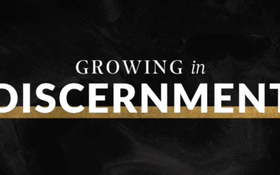 Growing in Discernment