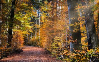 Name the promises you made this week