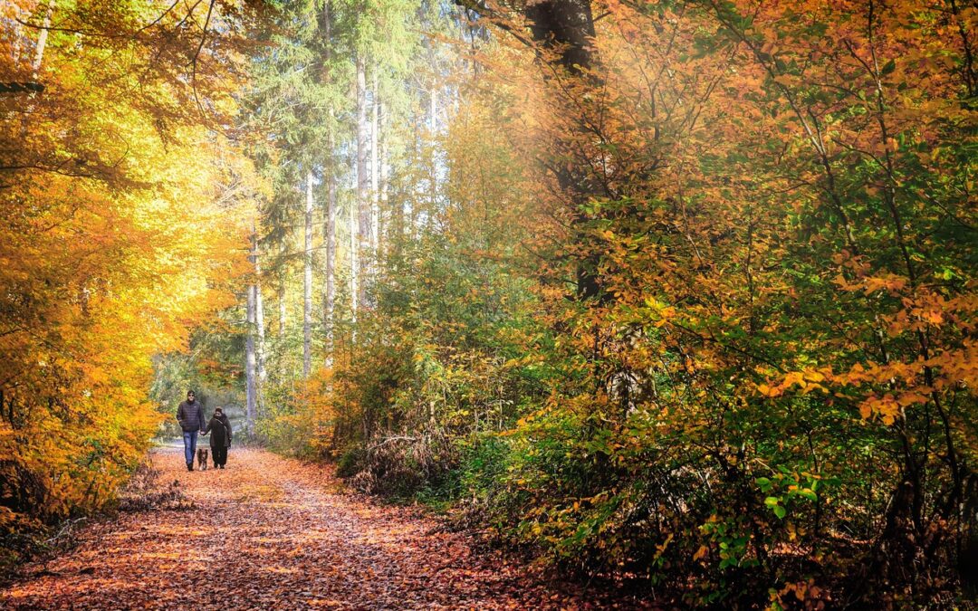 Husbands, Use Your Power to Bless