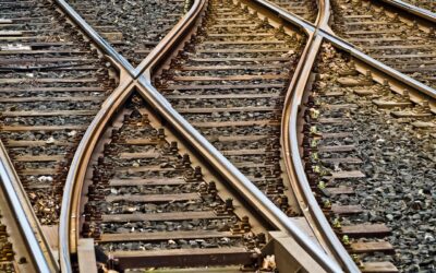 Attracting Bugs and Losing Friends