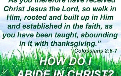 How must I live to truly abide in Christ?