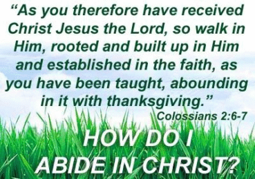 How must I live to truly abide in Christ?