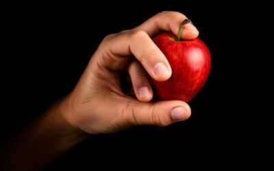 The Fall: An Offense to Reason