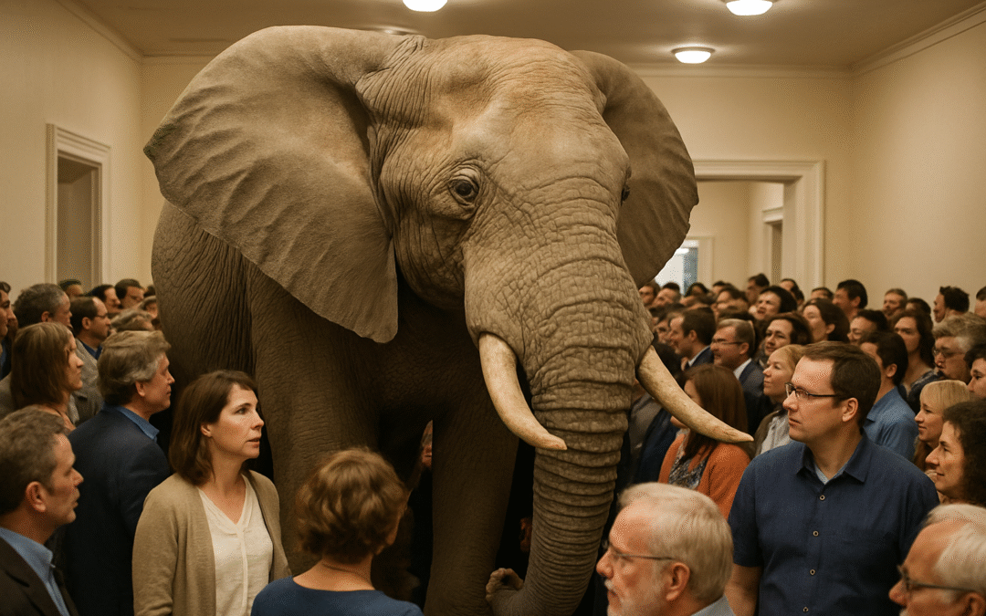 The Elephant In the Room