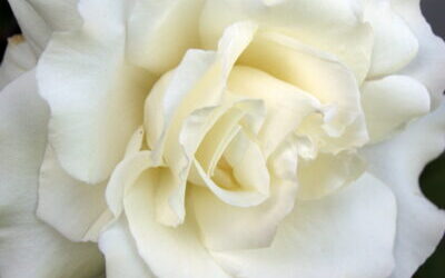 The Day That God Crossed His Arms