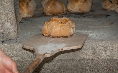 The Power of Baked In Prayers