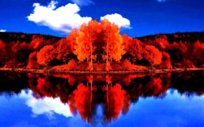 A Prayer for the Fall Season