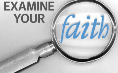 Faith in Focus