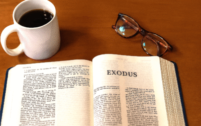 Don’t Waste Your Wilderness