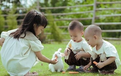 How a Broken Tooth Taught Our Children Personal Responsibility