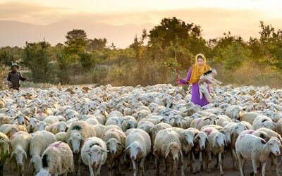November 16. Oswald Chambers, Scotland, Author