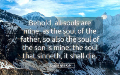 You Can’t Measure the Value of the Human Soul