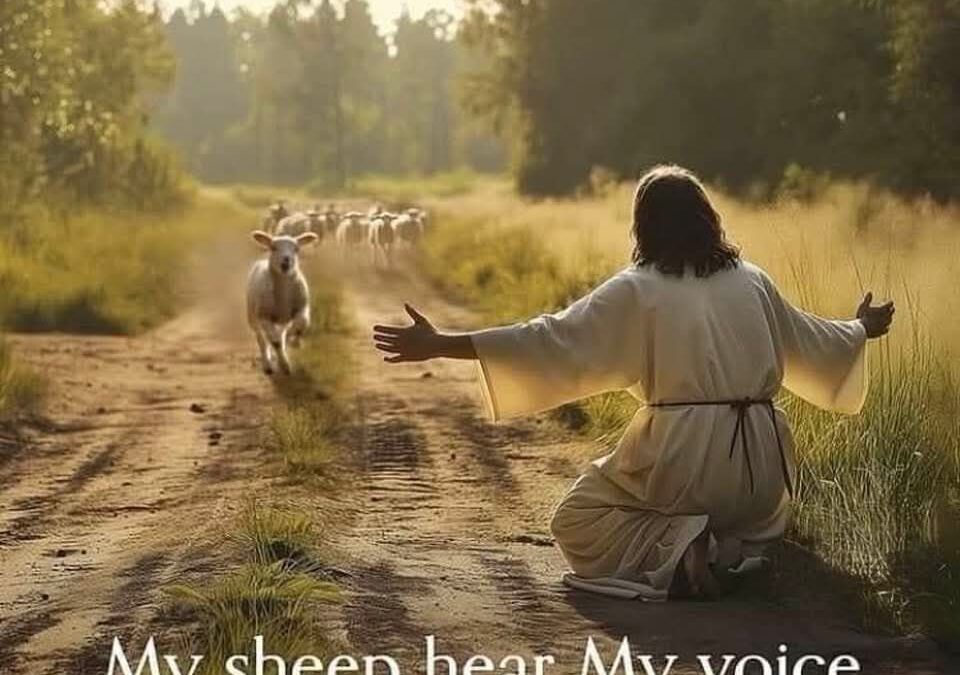 PRIDE THAT REFUSES TO FORGIVE