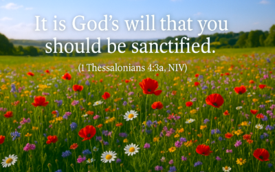 Weekly Wisdom: How to Have a Deepening Relationship With God